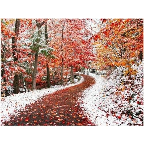 Diamond Embroidery 5D DIY Diamond mosaic Maple Snow Diamond Painting Cross Stitch round Rhinestone puzzle Home Decoration