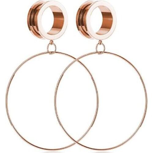 2PCS Rose Gold Fashion Punk Stainless Steel Ear Plugs Tunnels Screw Fit Expansion Gauges Women Men Piercing Body Jewelry