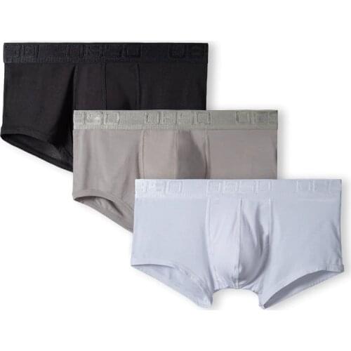 BS Cotton Boxershorts Men Comforable Panties Set трусы мужские боксеры Gay Sexy Underwear Man Boxer 2020 Hot Styel 5Color