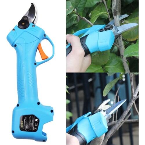 ANENG Secateurs China