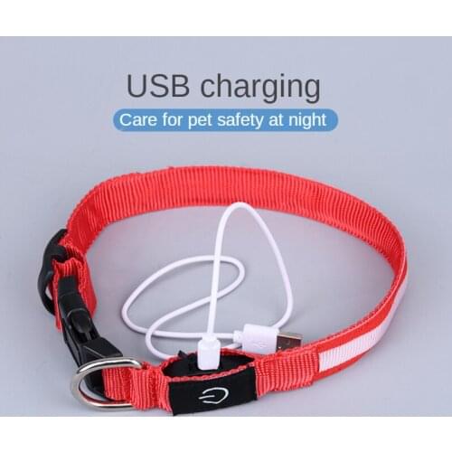Pet Supplies Usb Charging Light-emitting Collar Night Light Dog Collar LED New Nylon Fish Silk Collar Highlight Version