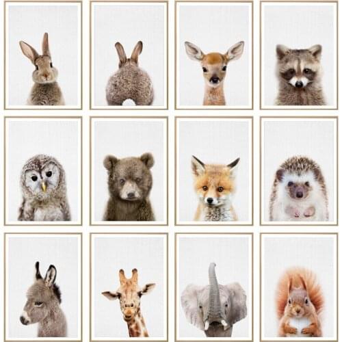 Animal Poster Wall Pictures For Children Bedroom Cute Rabbit Painting Home Raccoon Poster Decor Modern Wall Charts Canvas