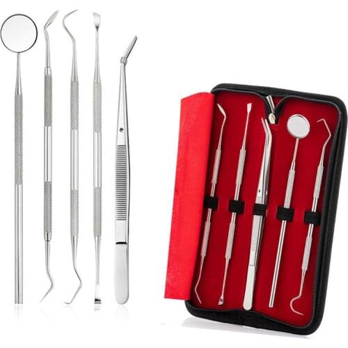 5PCS Double-ended Tooth Dentistry Instrument With Leather Bag Teeth Cleaning Tools Y07