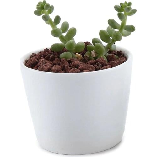 Ceramic White Round Simple Design Succulent Cactus Plant Pot Flower Pot/container/planter