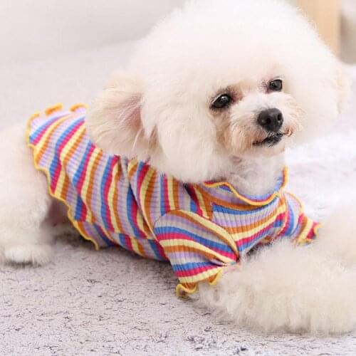 Colorful Striped Teddy Pet Clothes Dog Clothing Teddy Dogs Costume Cotton Sweatershirt Warm Dog Winter Clothes For Cat Dogs