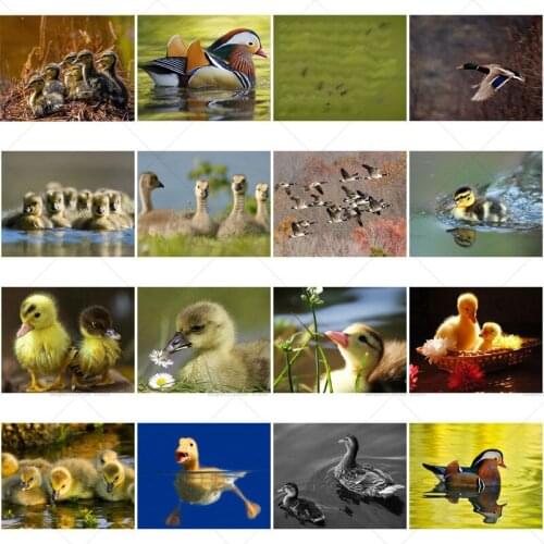 Diamond Painting Little Yellow Duck Diy Animal Diamond Embroidery Picture Cross Stitch Kit Art Mosaic Home Decoration