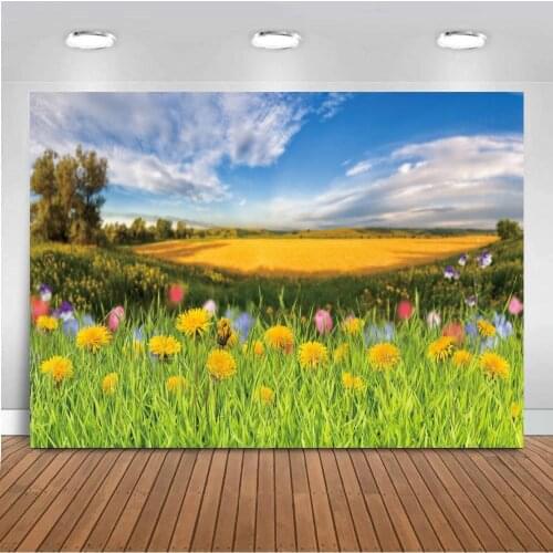 Spring Flowers Easter Eggs Wooden Planks Baby Photography Background Baby Easter Backdrop for Photographic Photo Studio Shoot