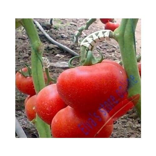 Plastic tomato clip plant fastener plant vines Tomato Flower Vegetable Farming Clip