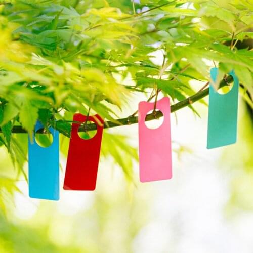100pcs Garden Branches Labels Seedlings Tags Card Mark Vines Sign Board Plants Grape Plastic Multifunction Portable Melon Fruits