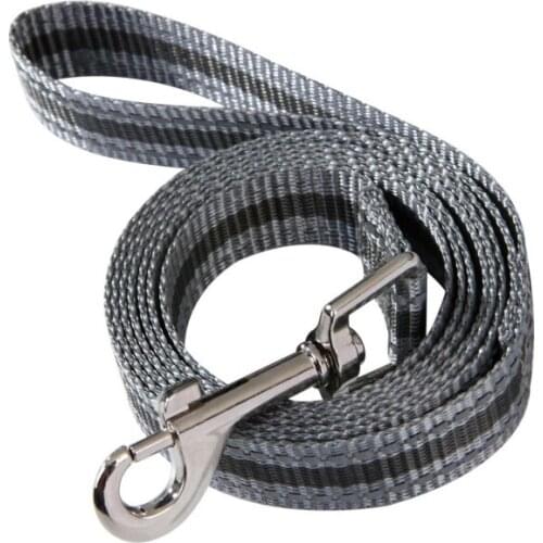 Polyester Detachable Luminous Reflective Dog Leash For Training, Large And Medium Dog Walking Leashot