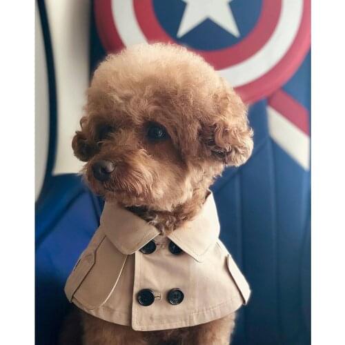 Dog Cat Bib Saliva Towel Fashion Windbreaker Cloak Bandage Cute Pet Neckerchief Scarf Waterproof Saliva Dog Chihuahua Yorkshire