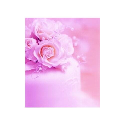 TR 5x7ft Hot Sale Photography Studio Backdrop Newborn Baby Girl Pink Flowers Photo Backgrounds Real Custom Studio Photo Shoots