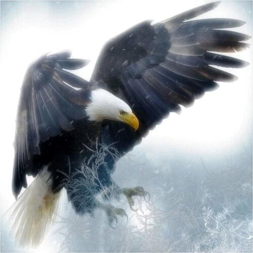New Eagle Animal Needlework Cross stitch sets Aida 14CT Unprinted Embroidery kits Arts Cross-Stitching,DIY Handmade home Decor
