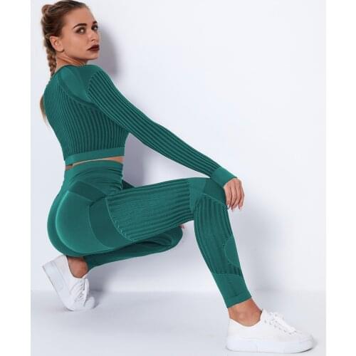 Seamless Fitness Suit Women 2 Piece Set Yoga Leggings Top Long Sleeve Shirt Mesh Breathable Running Sportwear Gym Workout Outfit