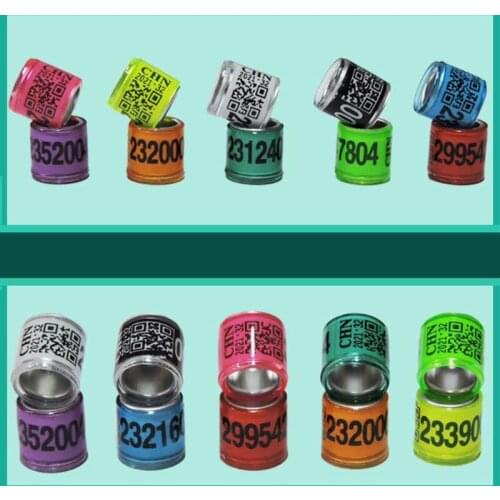 50 Pcs Mixed Color Dove Bands Bird Foot Ring Species Identify Training Rings Pet Bird Label Sign for Pigeon Chicks Small Poultry