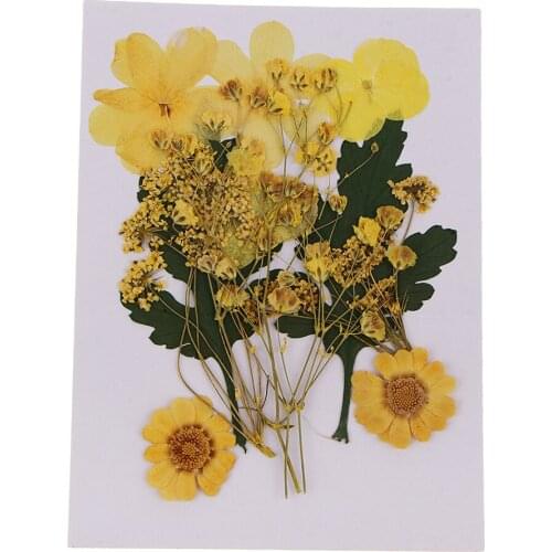 1 Bag Natural Real Pressed Dried Flower for DIY Craft Jewelry Making Handmade Resin Ornament