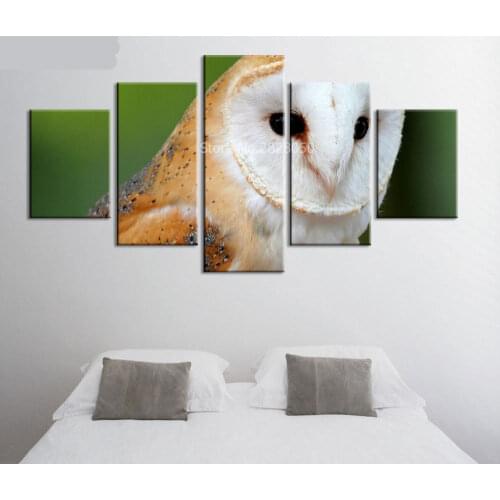 5 Panels Cute Eagle Canvas Art Framed Paintings Nordic Decoration Quadri Da Parete Kids Room Wall Pictures For Living Room