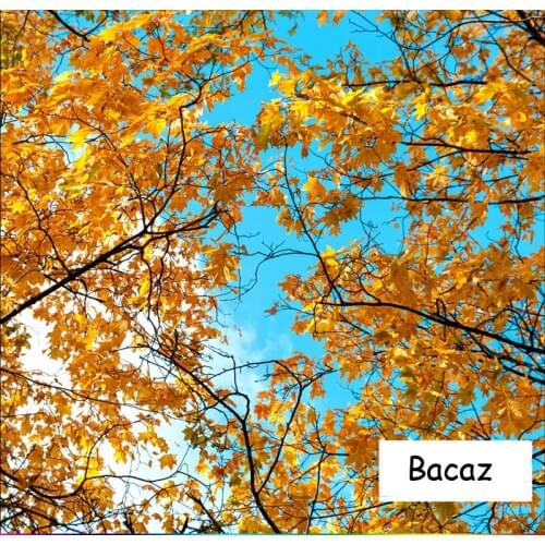 Large ceiling Papel Mural 8d/3D Maple leaves Wallpaper Mural for Living Room 3d tree Wall paper 8d Photo Mural 3d Wallcoverings