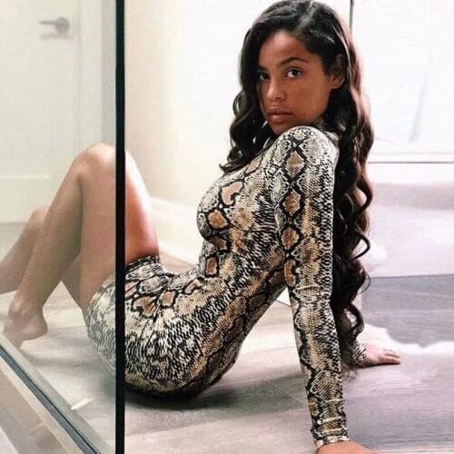 Elegant Vintage Summer Dress 2019 Dress Women Strechy Snakeskin Long Sleeve Snake Print Bodycon Sexy Dresses