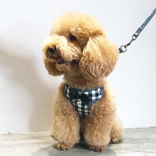 Pet Nylon Dog Leash Rope Accessories for Small Puppy Harness Accesorios Para Gatos Mascotas Fashion Things of Dog Truelove Goods