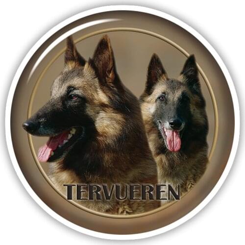 A0662# Various Sizes Removable Decal Tervueren 88 Sticker Waterproof Accessories on Bumper Rear Window Laptop