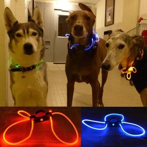 Pet Dog Collar Multi-color LED Pet Collar Adjustable Night Safety Pet Collar Luminous Light Up Pet Dog Bright Collar Leash