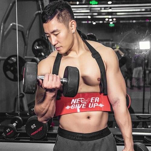 Biceps Training Board Arm Forearm Trainer for Weight Lifting Bodybuilding Fitness Equipment Indoor Training Board Arm trainer