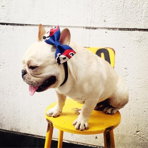 Cheepet Dog Accessories