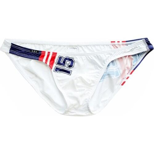 Desmiit Mens Silk Briefs