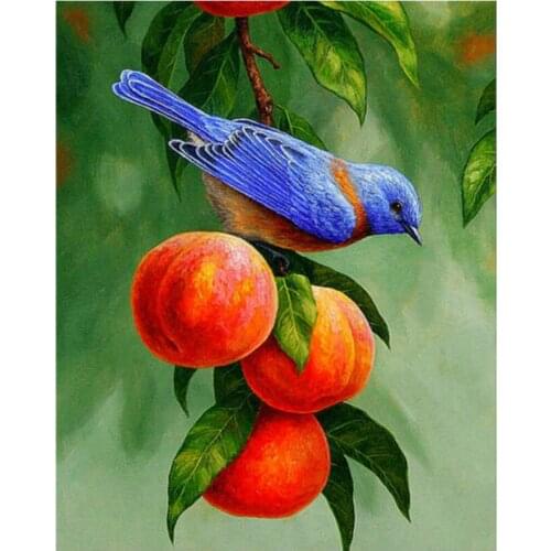 5d diy bird diamond mosaic full square embroidery painting fruits rhinestone wall sticker decor diamond art needlework handcraft
