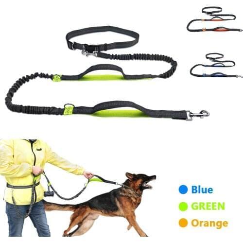 Dog Leash Running Pet Traction Belt Adjustable Elastic Nylon Hands Free Durable Walking Jogging Practical Training Accessories