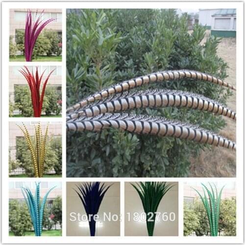 Wholesale 50pcs/ lot beautiful copper chicken side tail feathers 90-100 cm multiple colors optional stage celebration decoration
