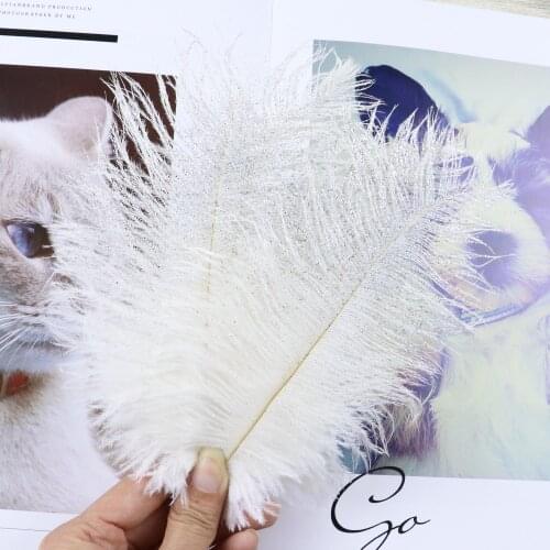 20 Pcs/Lot Spray Gold Color Ostrich Feather 6-8inch 15-20cm Jewelry Wedding for Costume Accessory Party Decorative Plumes Crafts