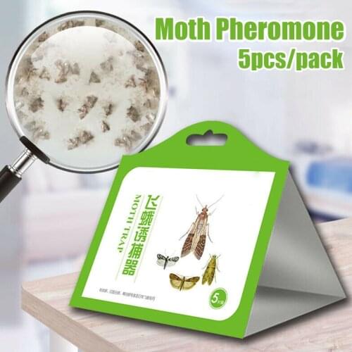 5 Pack/Set Attractant Moth Trap Pantry Kitchen Anti Moth Traps PAK55