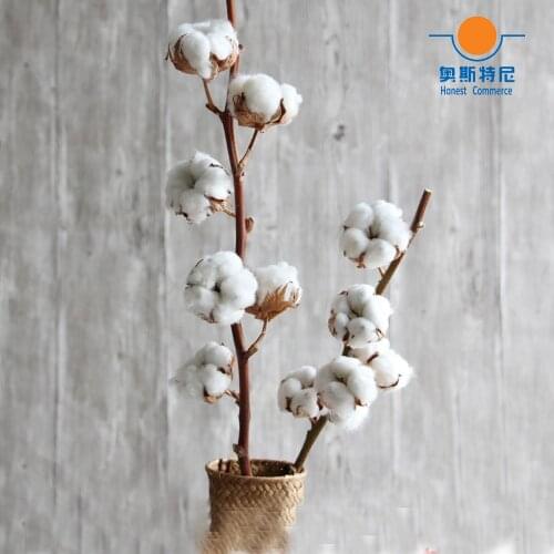 1pcs dried natural flower bouquets dried natural cotton branch flower bouquets one branch have 5 flowers