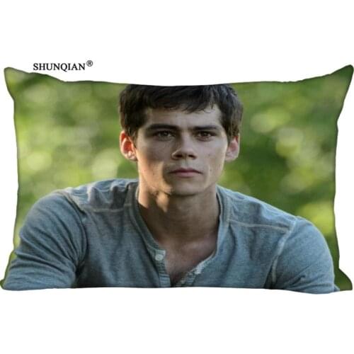 LU Dylan O'Brien Custom Zippered Rectangle Pillowcases Pillow Cover Cases Size 40x60cm (Two sides)