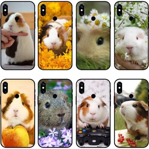 Cute animal Guinea pig Slim Phone Case For Xiaomi Redmi note 7 8 9 pro 8T 9S Mi Note 10 Lite pro