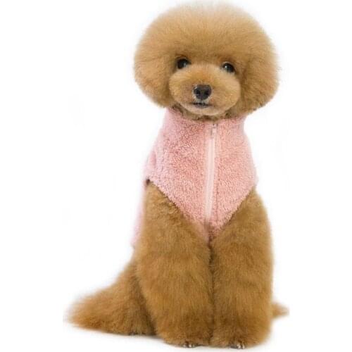 Pet Autumn & Winter Striped Costume Coral Velvet Clothes Dog Two Feet Hoodies for Teddy