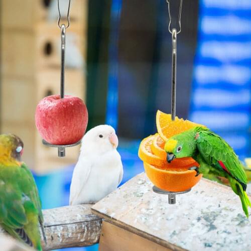 2021 New Pet Parrots Birds Food Holder Support Stainless Steel Fruit Vegetable Spear Stick Meat Skewer Bird Feeding Stick Feeder