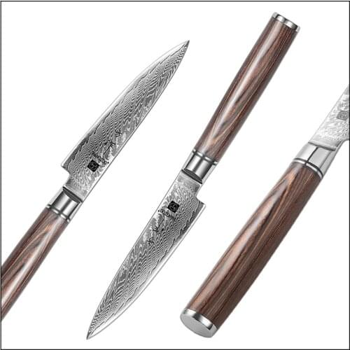 FANGZUO F210 4.6'' Utility Knife Japanese 67 Layers Damascus Steel Premium Pakkawood Handle Top Selling Fruit Cooking Knives