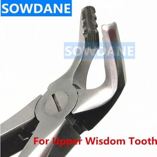 High Quality Stainless steel Dental Adult Teeth Extraction Forcep for Upper Wisdom Tooth Surgical Orthodontic Instrument Tool