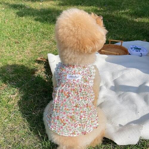 Pet Clothes Teddy Bichon Spring/Summer Floral Skirt Dog Skirt Breathable Thin Small Dog Dress