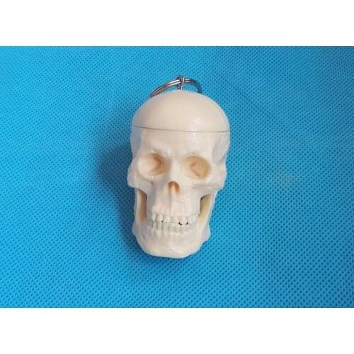 Skull key chain model The skull model Can be used as decorations, gifts, toys