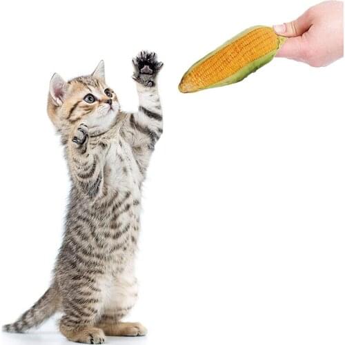 Dog Cat Toy Plush Chew Squeak Pet Toys For Dogs Cats Creative Puppy Sound Pet Toy Training Interactive Toys Pet Products