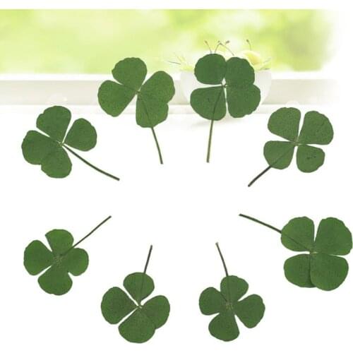 10Pcs Four-leaf Filling flower Dried Leaf Clover UV Resin Decor Nail Art Epoxy Mold DIY Filling Jewelry Four-leaf clover flower