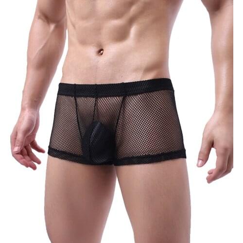 Sexy Lingerie Mesh Boxer Shorts Men Underwear Lingerie Fishnet Transparent Sissy Gay Panties Cueca Boxershorts Underpants 2XL