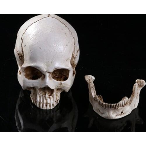 Skeleton human skull ashtray Home Decor Skull Ghost Evil Skeleton Head Resin Figurine Halloween