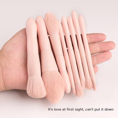 BEILI Pink 8 Pcs Mini Makeup Brushes Professional Soft Powder Eyebrow Eyeshadow Make up Brush Set Portable With Cosmetic Bag