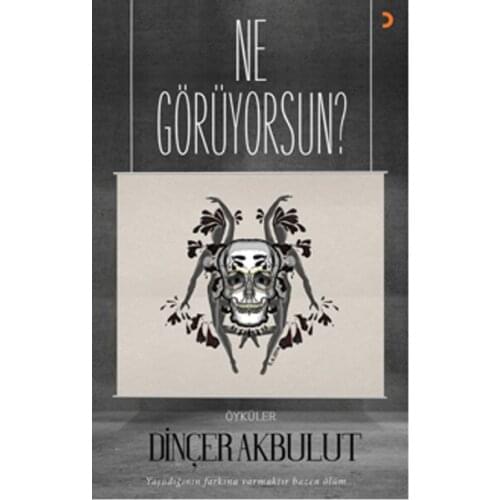 What Do You See? Dinçer Akbulut Cinius Contemporary Turkish Writers Sequence (TURKISH)
