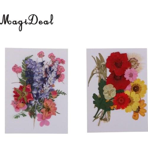 2 Pack Multiple Real Dried Pressed Flowers for DIY Scrapbooking Art Craft Wedding Card Decoration Resin Jewelry Making